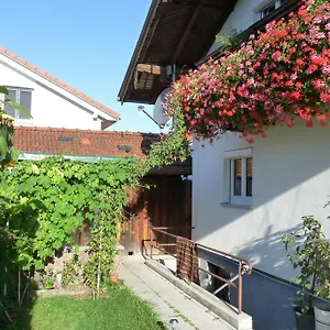 Alpenblick Apartment